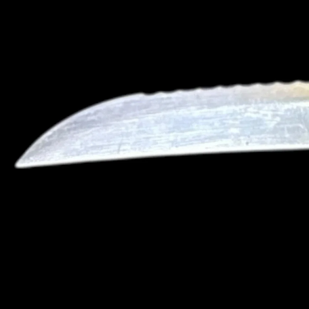 Robinson Stainless Steel Serrated 8
